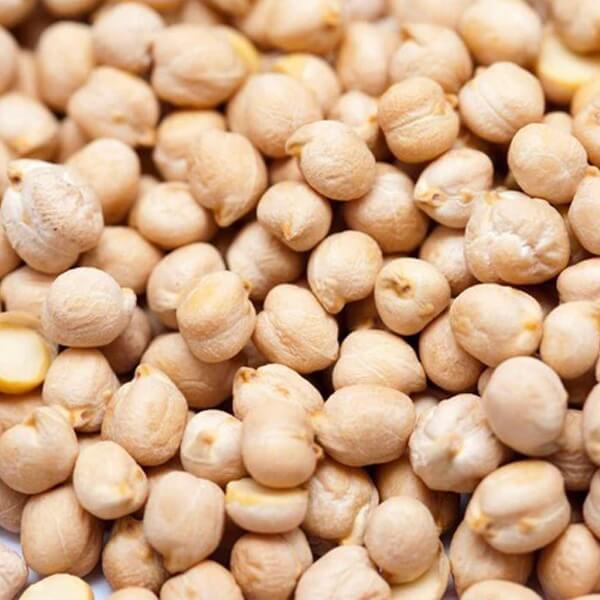 Kabuli Chickpea Seeds 