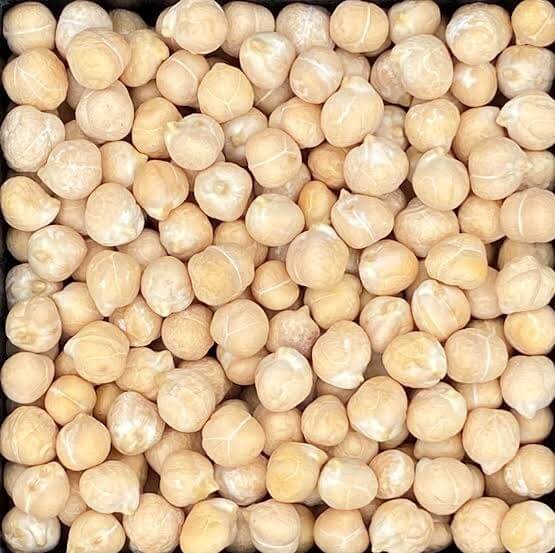 Kabuli Chickpea Seeds 