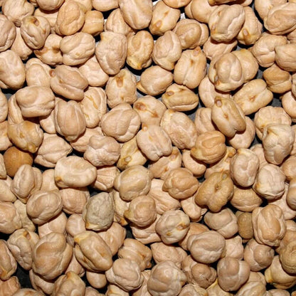 Kabuli Chickpea Seeds 