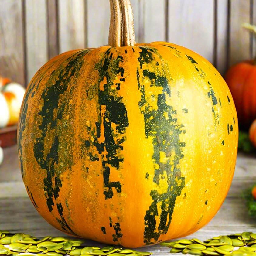 Kakai Hull-Less Pumpkin Seeds