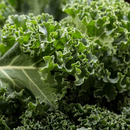 Kale Seeds