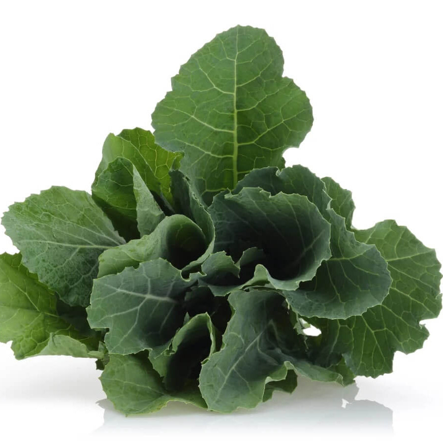 Kale seeds - Vegetable Plant