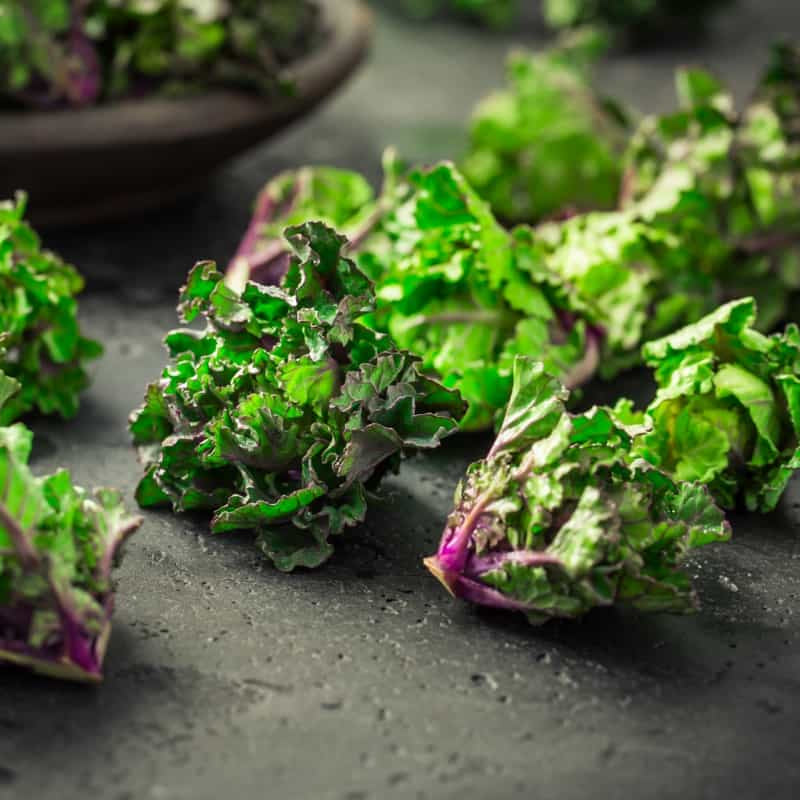 Kalettes Seeds
