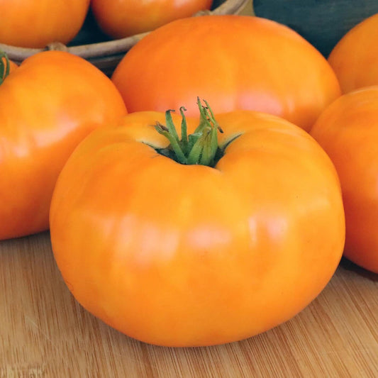 Kellogg's Breakfast Tomato Seeds - Vegetable Plant