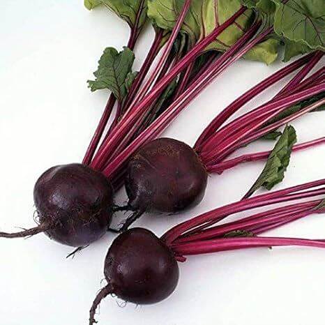 Kestrel Beet Seeds 