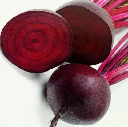 Kestrel Beet Seeds 