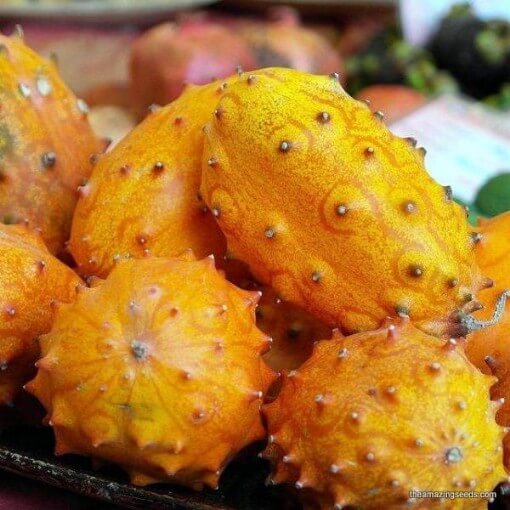 Kiwano Melon Seeds