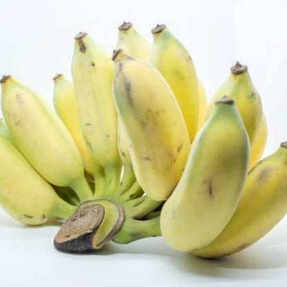 Kluai Namwa Seeds