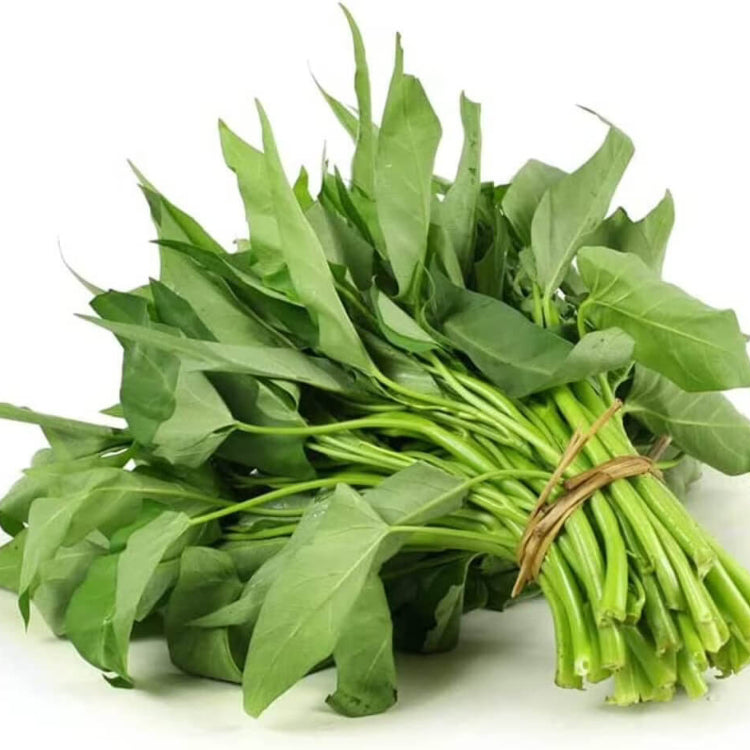 Kong Xin Cai Seeds - Heirloom Vegetable Plant for Home Gardens