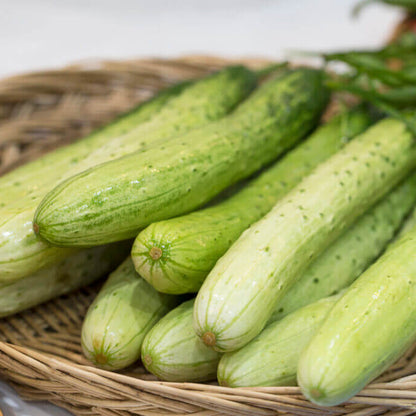 Korean Cucumber Seeds - Heirloom Vegetable Plant for Home Gardens