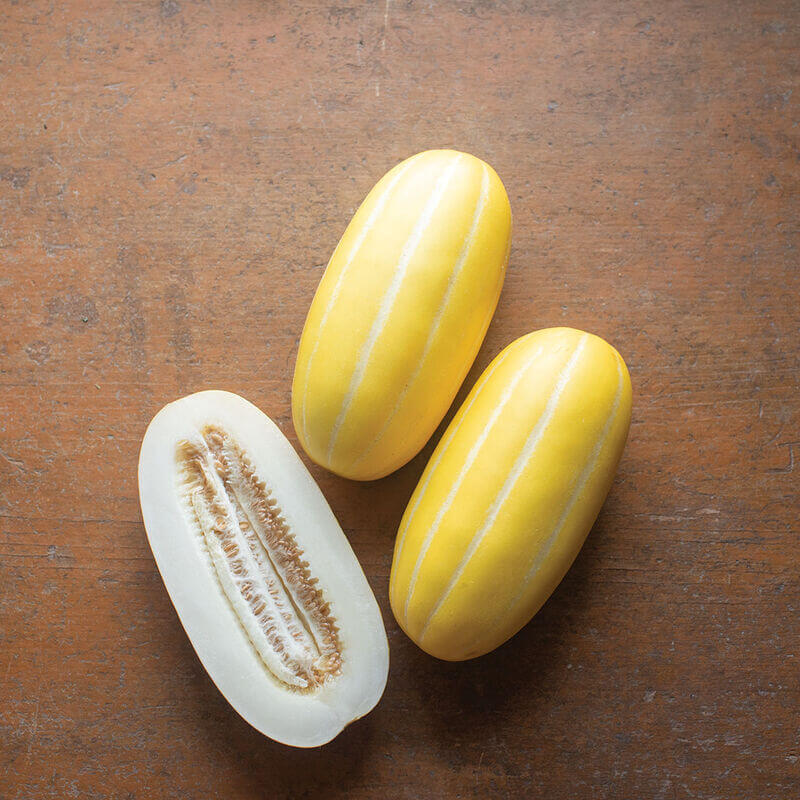 Korean Melon Seeds 