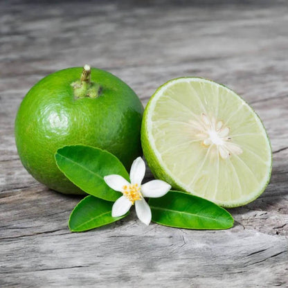 Kusaie Lime Seeds 