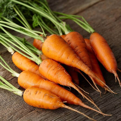Kyoto Red Carrot Seeds - Heirloom Vegetable Plant for Home Gardens
