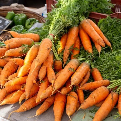 Kyoto Red Carrot Seeds - Heirloom Vegetable Plant for Home Gardens