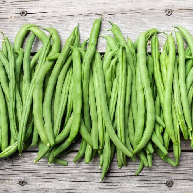Lake Pole Bean Seeds - Vegetable Plant