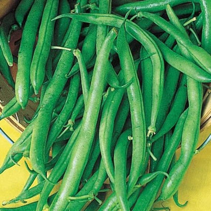 Lake Pole Bean Seeds - Vegetable Plant