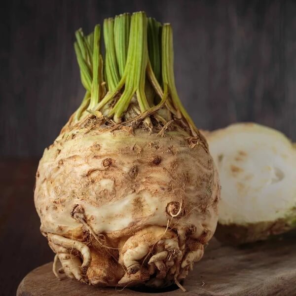 Large Root Celeriac Seeds 
