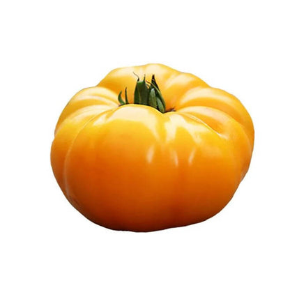 Large Yellow Tomato Seeds