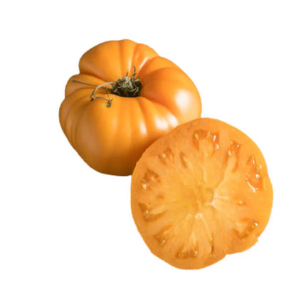 Large Yellow Tomato Seeds