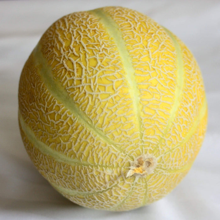 Lemon Drop Melon Seeds