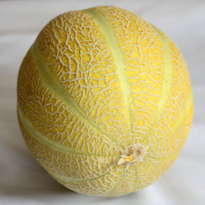 Lemon Drop Melon Seeds