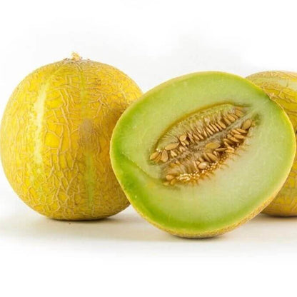 Lemon Drop Melon Seeds 