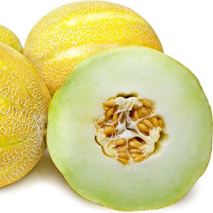 Lemon Drop Melon Seeds 