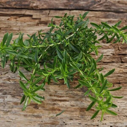 Lemon Savory Seeds