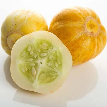 Lemon cucumber seeds - Vegetable Plant