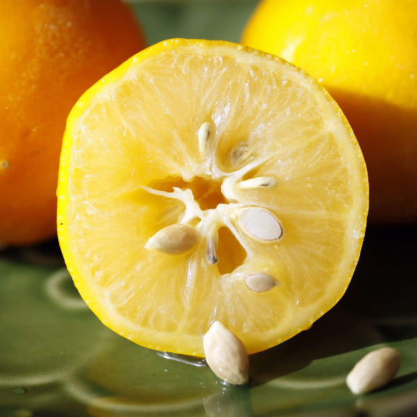 Lemons seeds - Fruit seeds