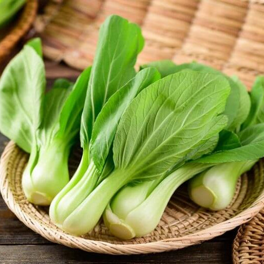 Light Green Choi Bok Choy Seeds