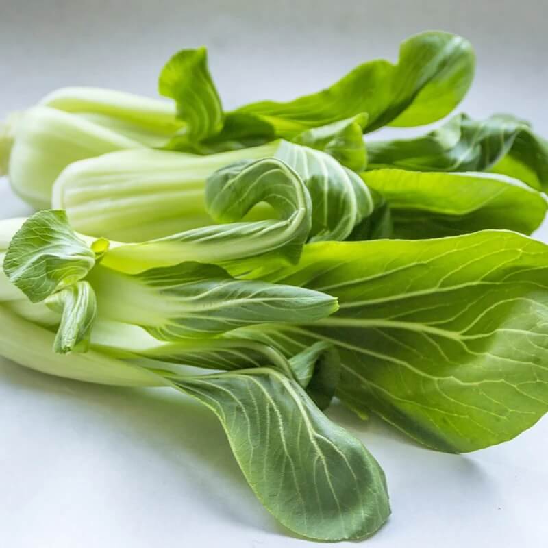 Light Green Choi Bok Choy Seeds