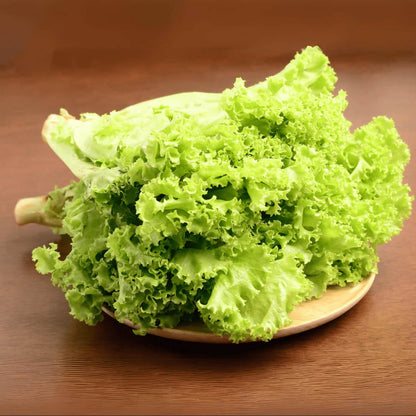 Light Green Lettuce Seeds