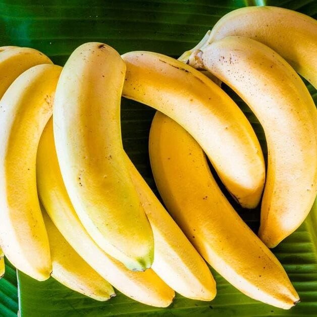 Light Yellow Banana Seeds