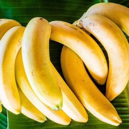 Light Yellow Banana Seeds