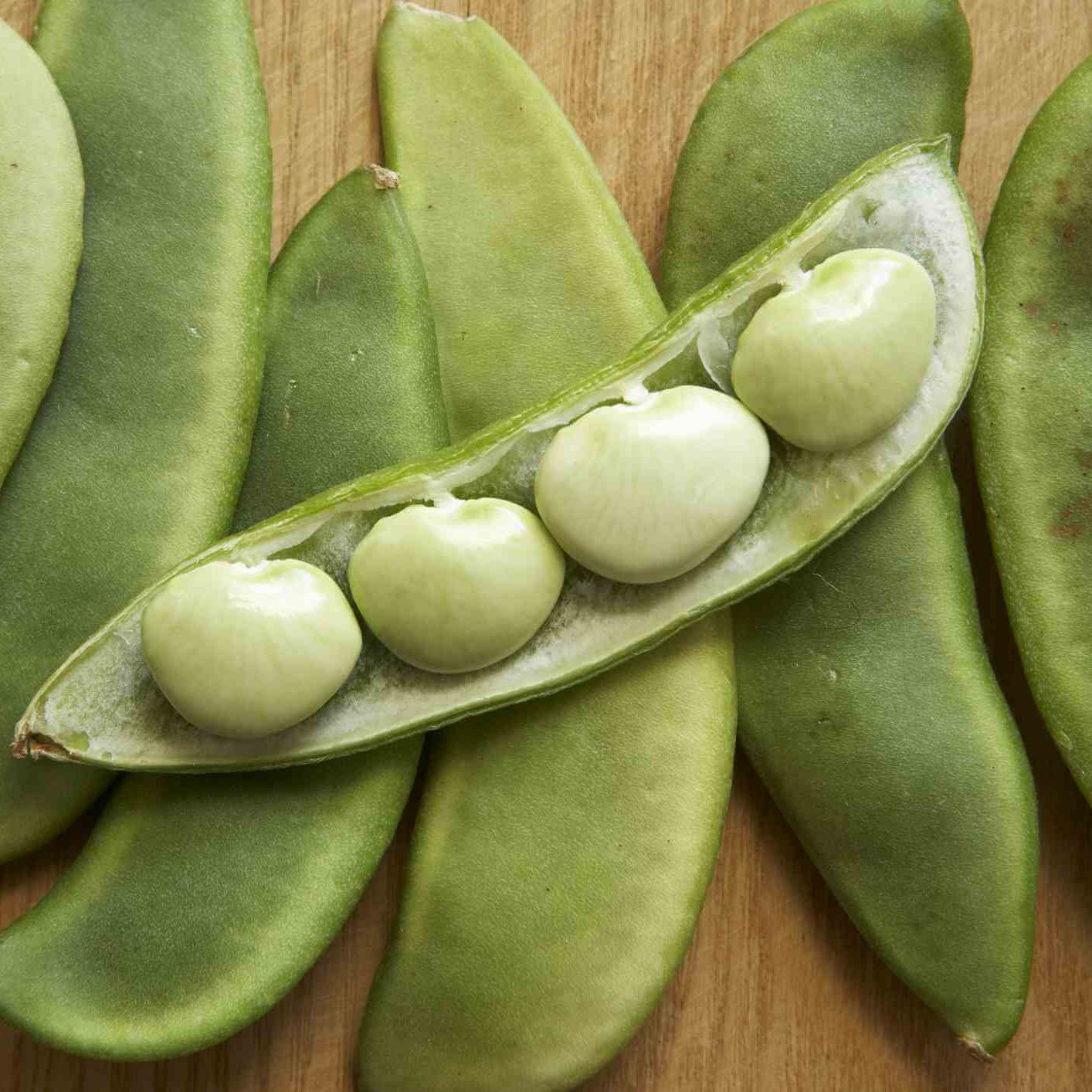 Lima bean seeds - Vegetable Plant