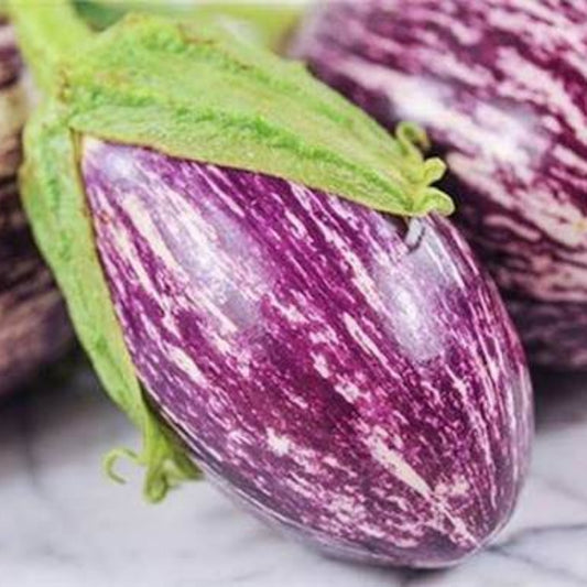 Listada de Gandia Eggplant Seeds - Heirloom Vegetable Plant for Home Gardens