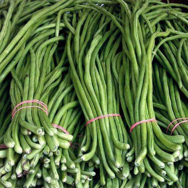 Lobia Seeds - Heirloom Vegetable Plant for Home Gardens