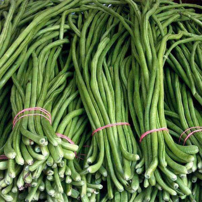 Lobia Seeds - Heirloom Vegetable Plant for Home Gardens
