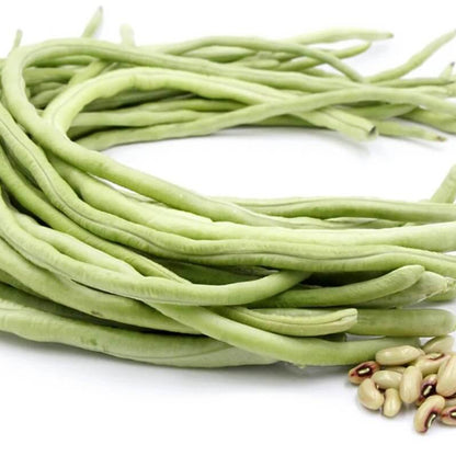 Long Bean Seeds