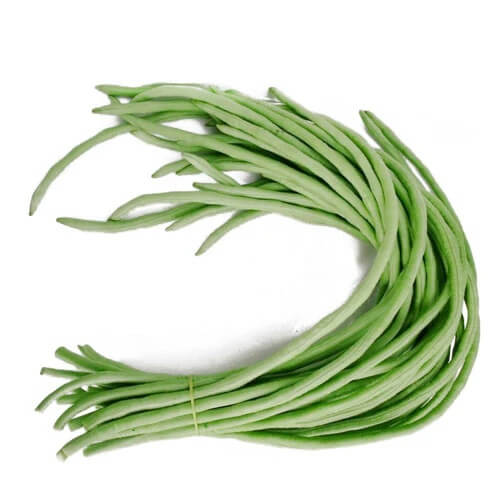 Long Bean Seeds