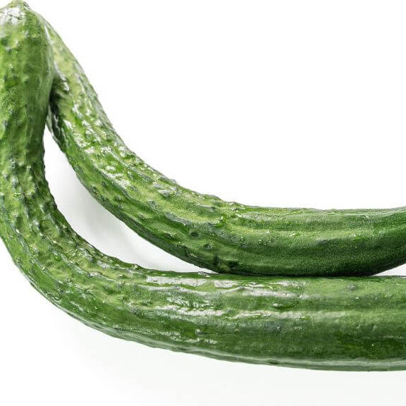 Long Greek Cucumber Seeds - Vegetable Plant