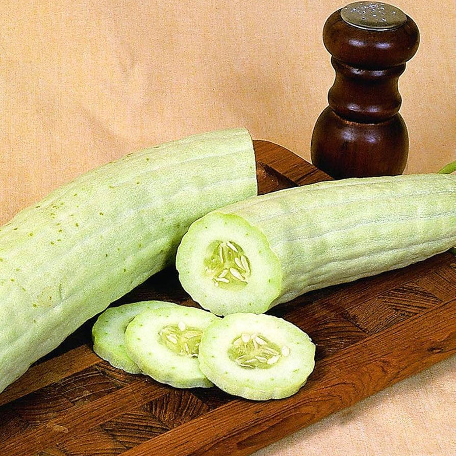 Long Greek Cucumber Seeds - Vegetable Plant
