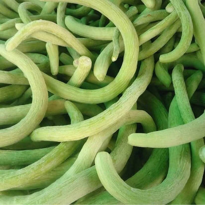 Long Melon seeds