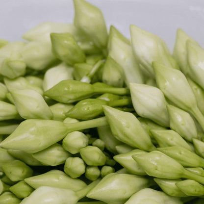 Loroco Seeds 