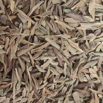 Loroco Seeds 