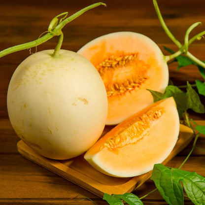 Loupe Melon Seeds 
