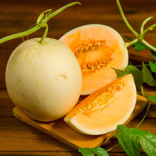 Loupe Melon Seeds 