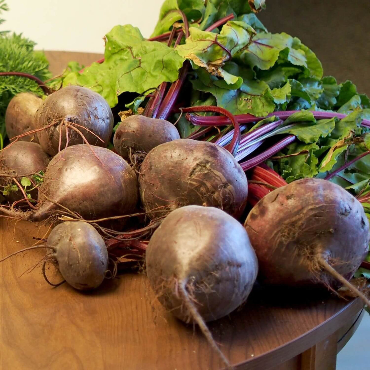 Lutz Green Leaf Beet Seeds 