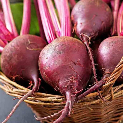 Lutz Green Leaf Beet Seeds 